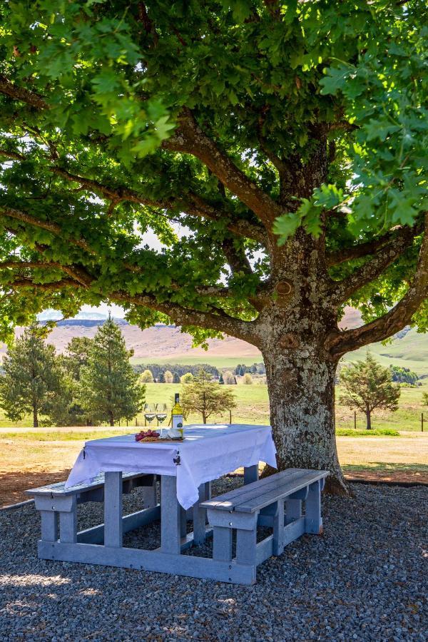 Oak Ridge Guest House Underberg Luaran gambar